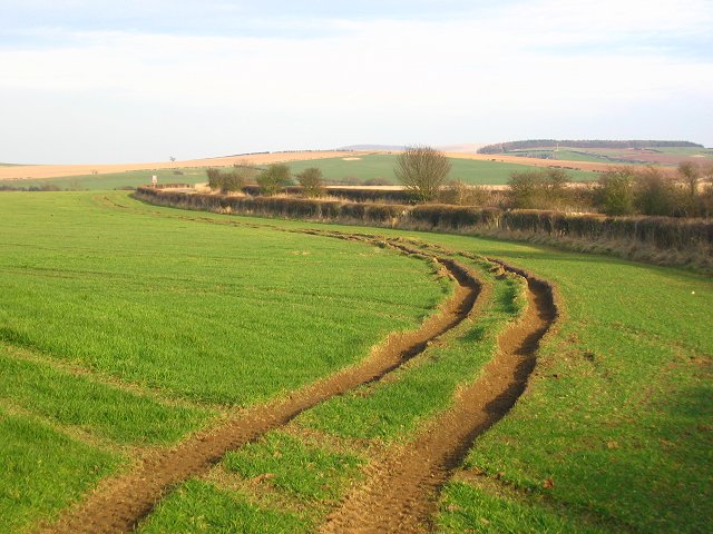Ruts_-_geograph.org.uk_-_141213